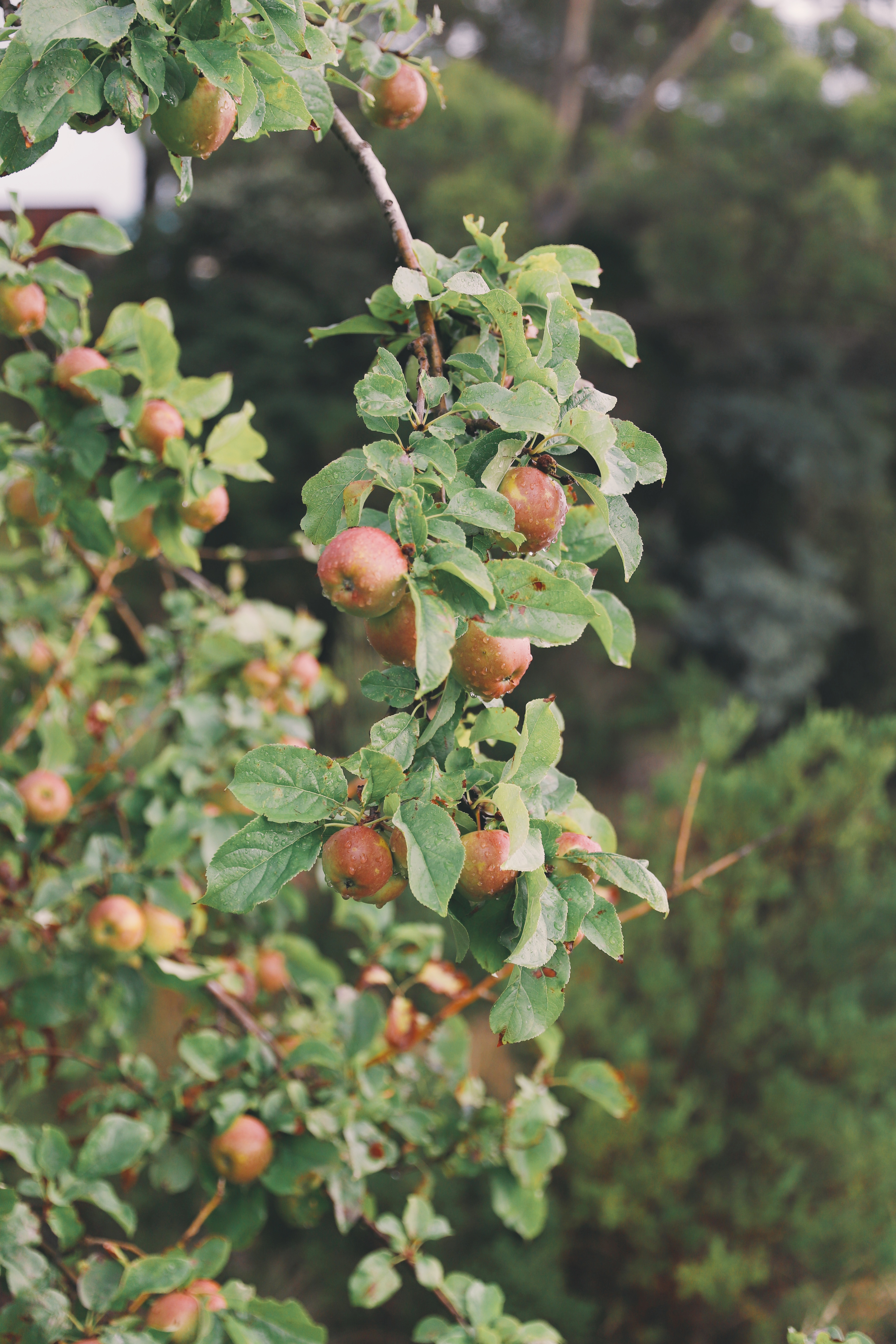 Processed with VSCO with e5 preset