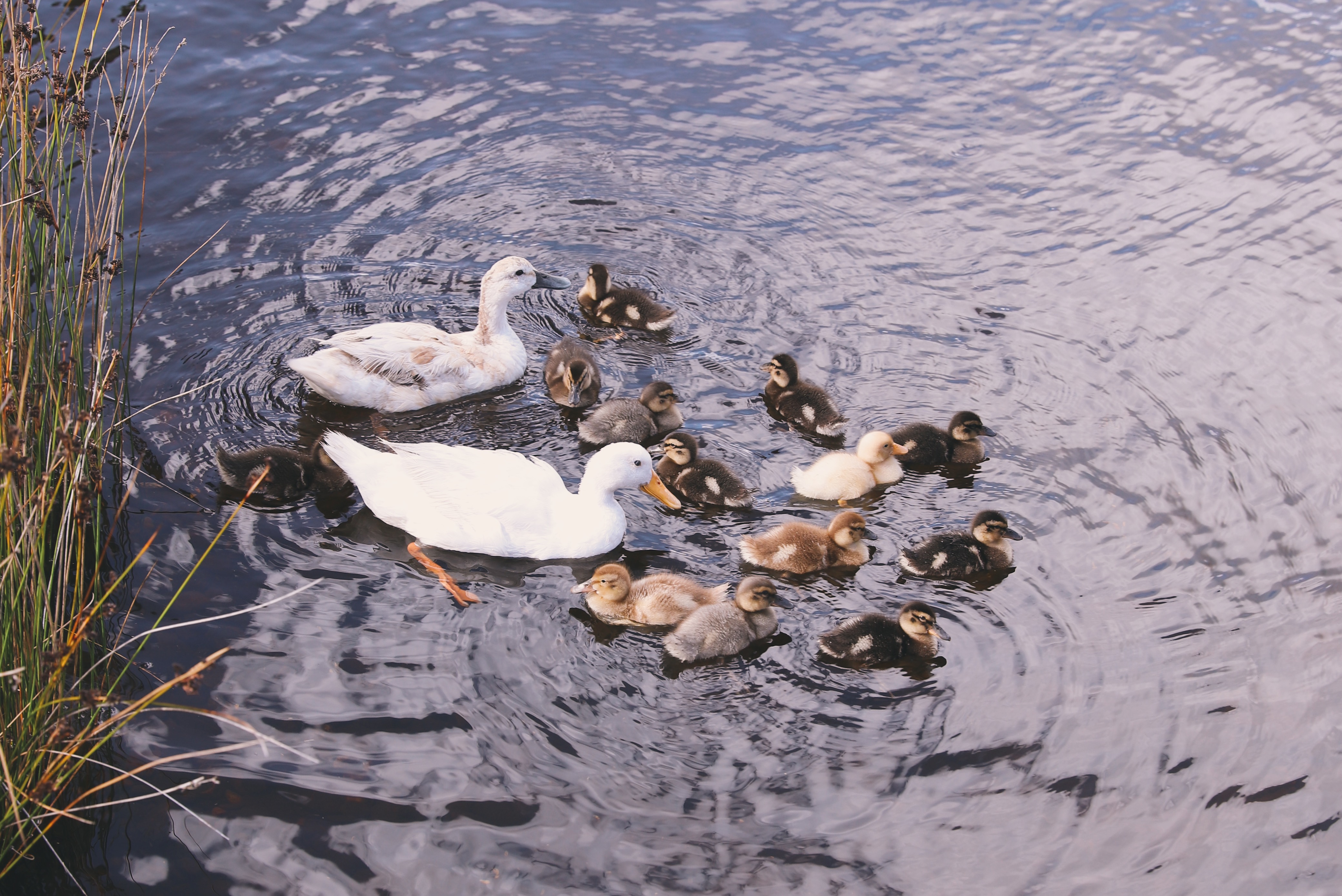 Processed with VSCO with e5 preset