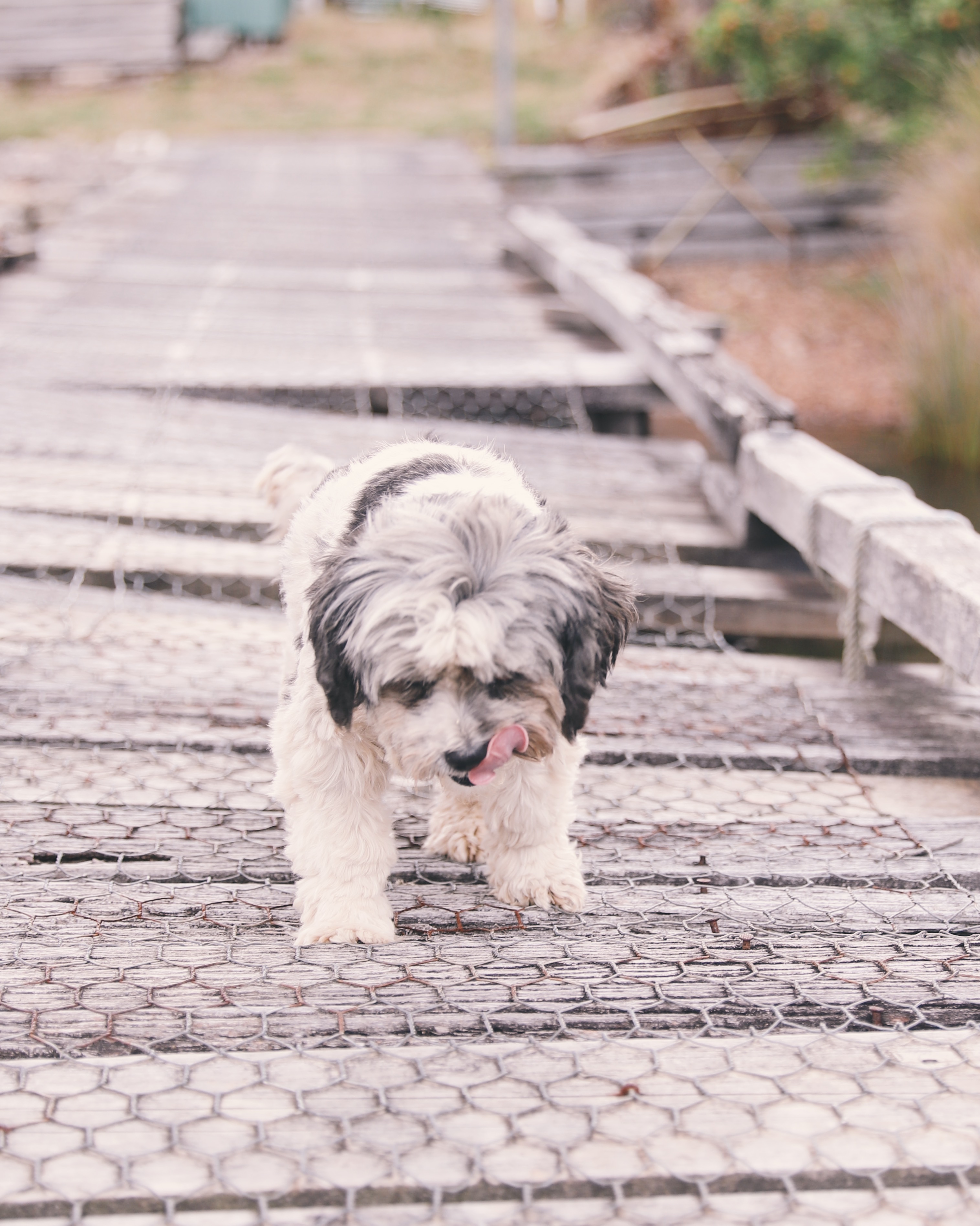 Processed with VSCO with e5 preset