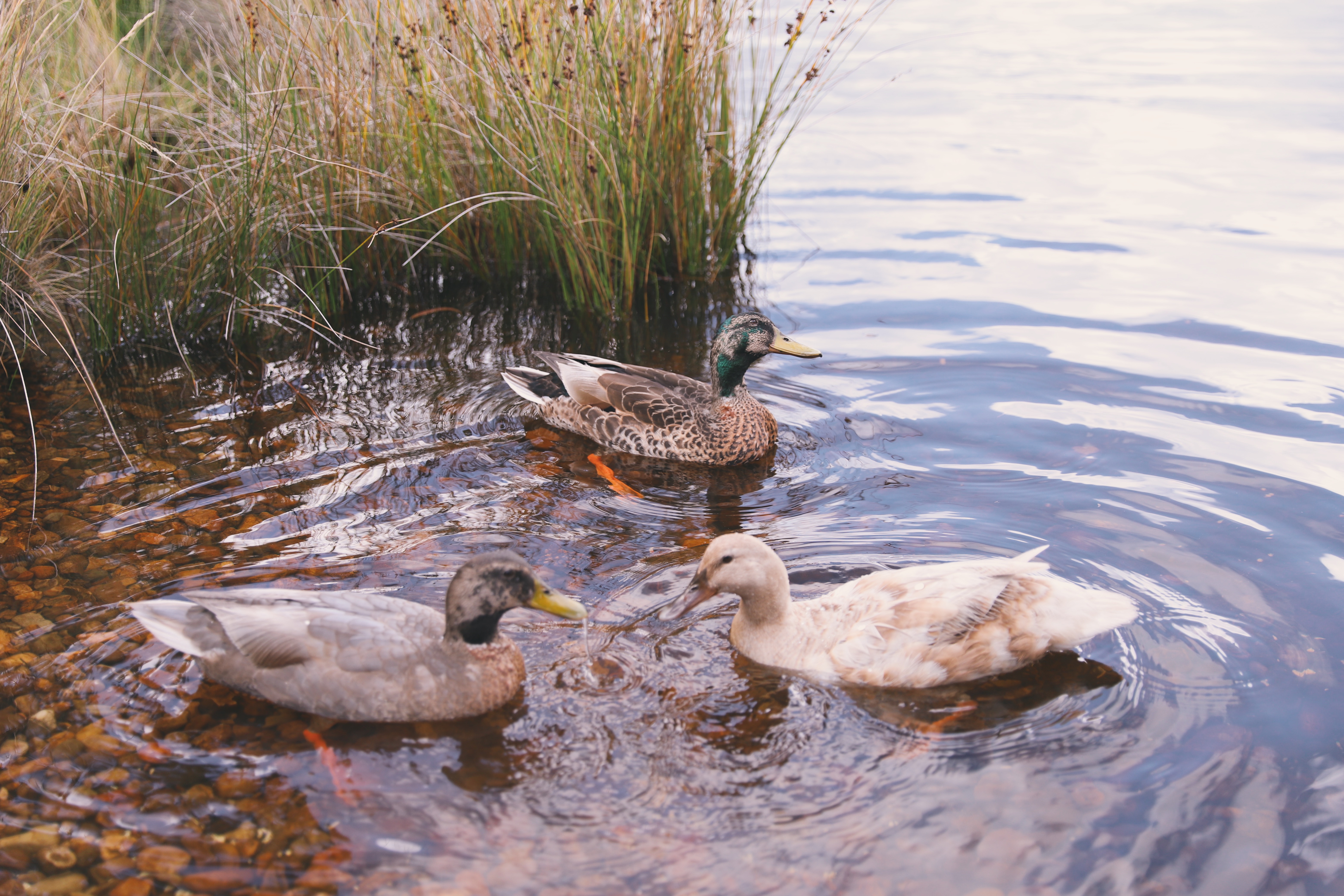 Processed with VSCO with e5 preset