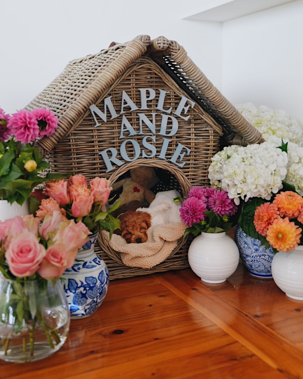 What To Buy For Your New&nbsp;Puppy