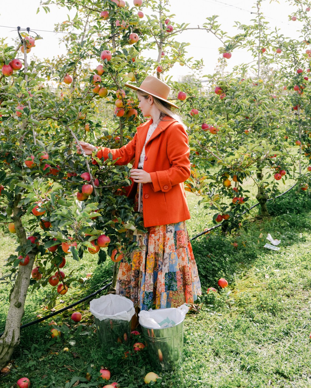 Colourful Coats and&nbsp;Cardigans